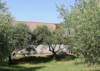 IMG_8509.JPG - Villa Brendola - foto 12