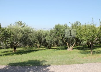 IMG_8511.JPG - Villa Brendola - foto 14