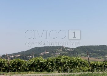 IMG_8518.JPG - Villa Brendola - foto 17