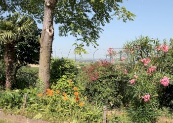 IMG_8535.JPG - Villa Brendola - foto 24