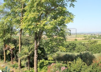 IMG_8542.JPG - Villa Brendola - foto 27