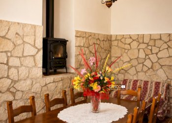 taverna - Villa Brendola - photo 9
