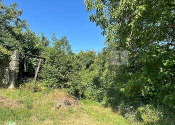 Case e terreno (4).JPG - Rustico Via Tavella 10, Barbarano Mossano - foto 5