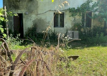 Case e terreno (5).JPG - Rustico Via Tavella 10, Barbarano Mossano - foto 6