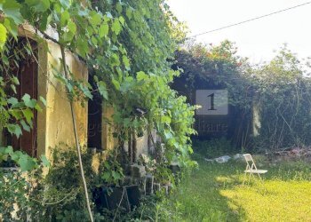 Case e terreno (9).JPG - Rustico Via Tavella 10, Barbarano Mossano - foto 11