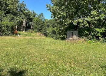 Case e terreno (13).JPG - Rustico Via Tavella 10, Barbarano Mossano - foto 14