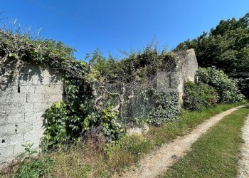 Case e terreno (15).JPG - Rustico Via Tavella 10, Barbarano Mossano - foto 16