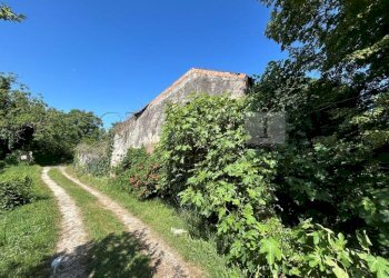 Case e terreno (16).JPG - Rustico Via Tavella 10, Barbarano Mossano - foto 17