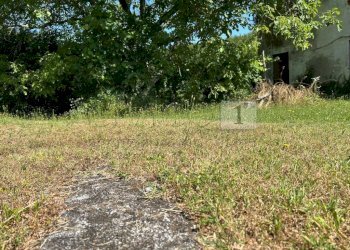 Case e terreno (20).JPG - Rustico Via Tavella 10, Barbarano Mossano - foto 20