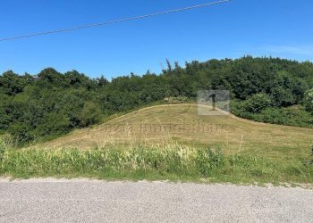 Case e terreno (22).JPG - Rustico Via Tavella 10, Barbarano Mossano - foto 22