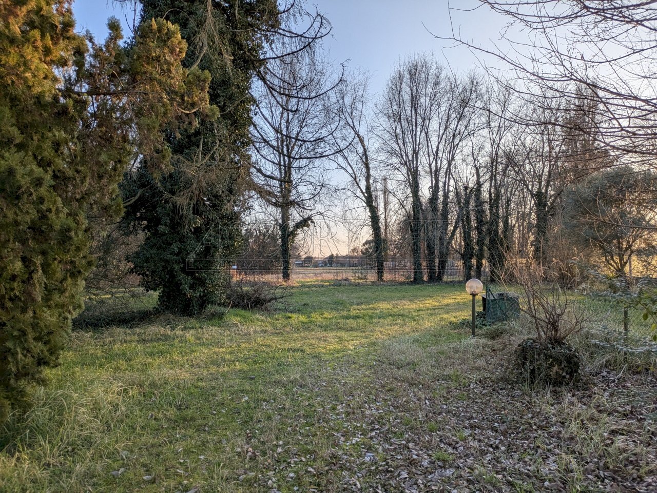 PXL_20250129_153223287.jpg - Terreno edificabile Via Guglielmo Marconi 16, Noventa Padovana - foto 1