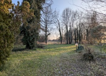 PXL_20250129_153223287.jpg - Terreno edificabile Via Guglielmo Marconi 16, Noventa Padovana - foto 1