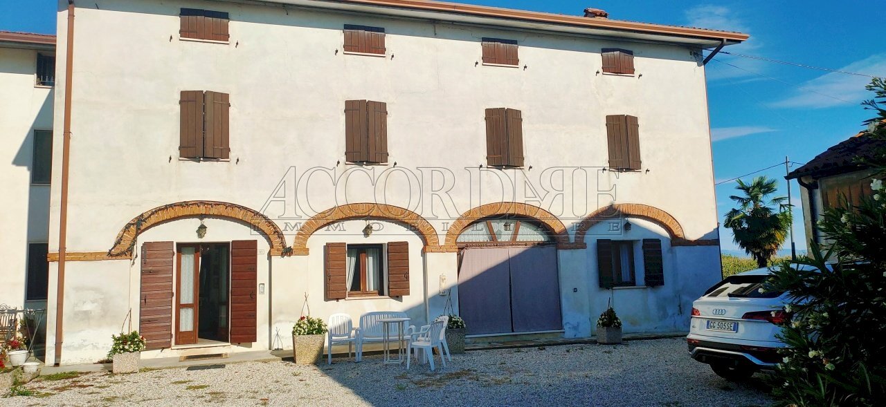 IMG20250904091426.jpg - Casa indipendente Via borgo, Longare - foto 2
