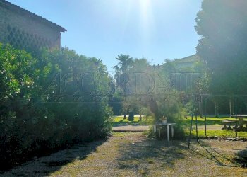 IMG20250904091705.jpg - Casa indipendente Via borgo, Longare - foto 7