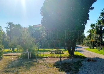 IMG20250904091706.jpg - Casa indipendente Via borgo, Longare - foto 10