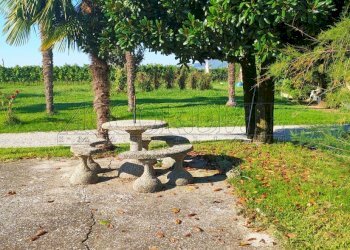 IMG20250904091729.jpg - Casa indipendente Via borgo, Longare - foto 12