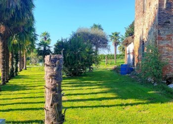 IMG20250904093415.jpg - Casa indipendente Via borgo, Longare - foto 13