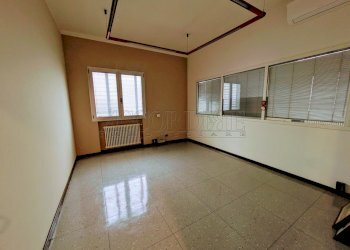 PXL_20250424_142701970~2.jpg - Ufficio Via Nona Strada 2, Noventa Padovana - foto 3