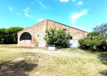 IMG-20250718-WA0007.jpg - Casale Via Croce 796, Salara - foto 6