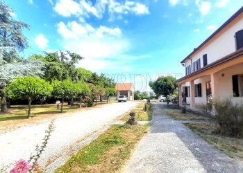 IMG-20250718-WA0013.jpg - Casale Via Croce 796, Salara - foto 10