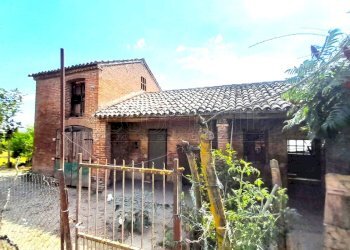 IMG-20250718-WA0022.jpg - Casale Via Croce 796, Salara - foto 29