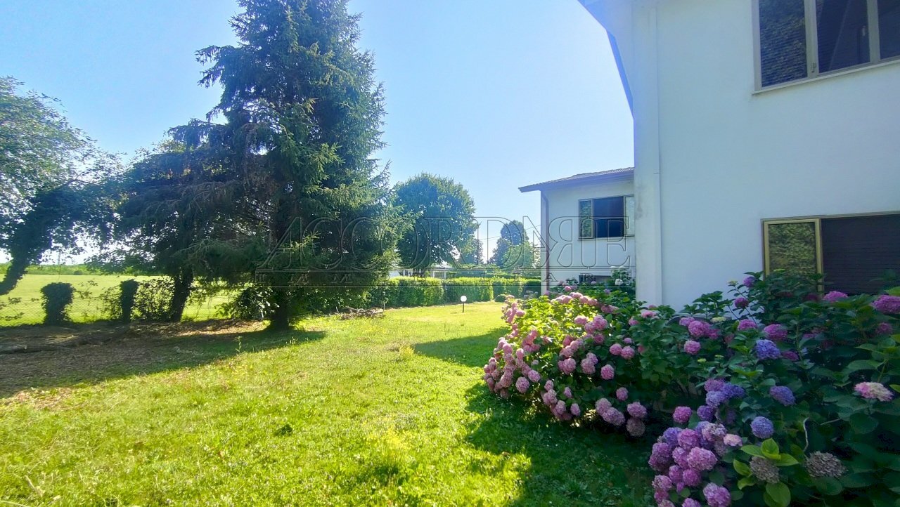 IMG20250702090548.jpg - Independent house Rubano - photo 2