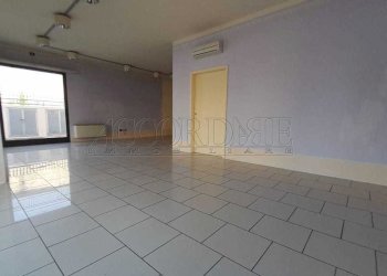 IMG-20250625-WA0008.jpg - Locale Commerciale Mestrino - foto 4