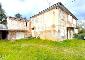 20250325_152521.jpg - Villa Trifamiliare Piazzola sul Brenta - foto 1