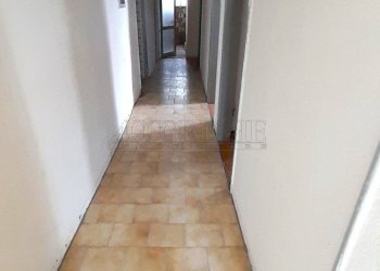 20250325_150426.jpg - Villa Trifamiliare Piazzola sul Brenta - foto 3