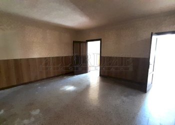 20250325_151413.jpg - Villa Trifamiliare Piazzola sul Brenta - foto 5