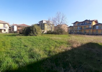 20250401_092416.jpg - Terreno edificabile via Cacciatori delle alpi, Somma Lombardo - foto 3