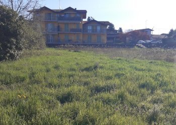 20250401_092255.jpg - Terreno edificabile via Cacciatori delle alpi, Somma Lombardo - foto 5