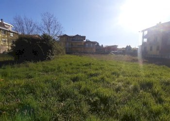 20250401_092258.jpg - Terreno edificabile via Cacciatori delle alpi, Somma Lombardo - foto 6