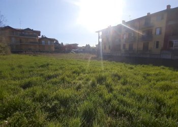 20250401_092300.jpg - Terreno edificabile via Cacciatori delle alpi, Somma Lombardo - foto 7