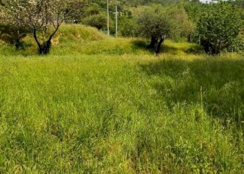 10.jpg - Villa Via Falcinello 300, Sarzana - foto 8