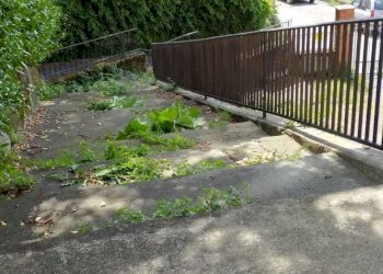 7.jpg - Villa Via Falcinello 300, Sarzana - foto 9