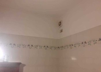 a341338e-675d-45f1-aa7f-c36311fd9857.jpg - Attico Via Werther Muttini 22, Carrara - foto 16