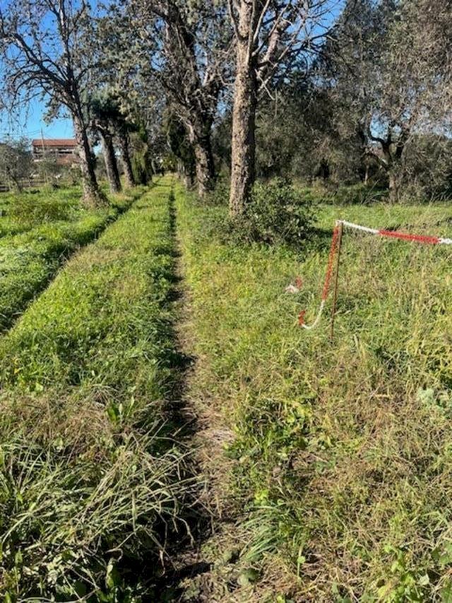 1296856_f7uf246dd.jpg - Casale Via Ghiarettolo 11, Sarzana - foto 2