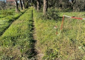 1296856_f7uf246dd.jpg - Casale Via Ghiarettolo 11, Sarzana - foto 2