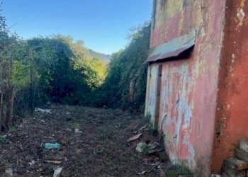 1296856_lgkeef49zve.jpg - Casale Via Ghiarettolo 11, Sarzana - foto 5