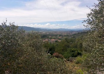 96e9e93d-1eab-435e-8054-47081ef13316.jpg - Casa semi indipendente Via per Nicola 42, Luni - foto 6