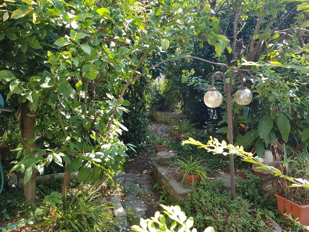 20240822_111420.jpg - Villa Via Milazzo 65, Carrara - foto 1