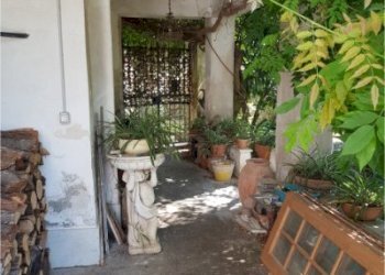 20240822_111915.jpg - Villa Via Milazzo 65, Carrara - foto 2