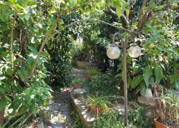 20240822_123942.jpg - Villa Via Milazzo 65, Carrara - foto 5