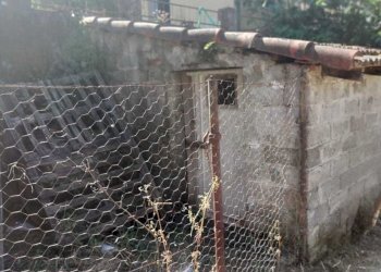 89a12290-3878-4b34-830e-658438e38e4b.jpg - Villa Via Valle 3, Arcola - foto 14