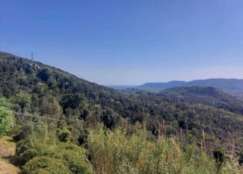 65eccf9f-98a2-4978-a50d-90f14ecd25cd.jpg - Casa semi indipendente Via Belvedere 13, Sarzana - foto 11