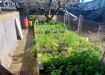 WhatsApp Image 2025-03-04 at 09.14.20(1).jpeg - Casa semi indipendente Via Aurelia 4f, Sarzana - foto 8