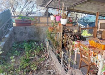 WhatsApp Image 2025-03-04 at 09.14.20(4).jpeg - Casa semi indipendente Via Aurelia 4f, Sarzana - foto 11