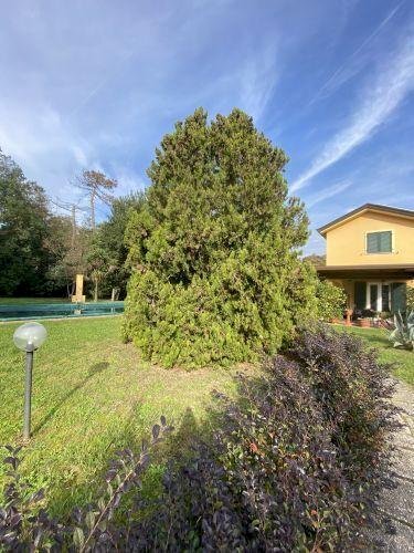 1297262-01901.jpg - Villa Via Palvotrisia 38, Castelnuovo Magra - foto 3