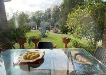 1297262-uxk1g65n.jpg - Villa Via Palvotrisia 38, Castelnuovo Magra - foto 11